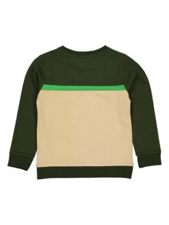 Sweatshirt In Grün -TROLLKIDS Verkäufe quapi sweatshirt in grun 1