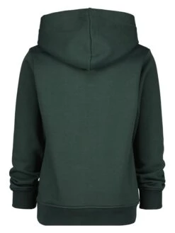 Hoodie "Wilkes" In Grün -TROLLKIDS Verkäufe raizzed r hoodie wilkes in grun 1